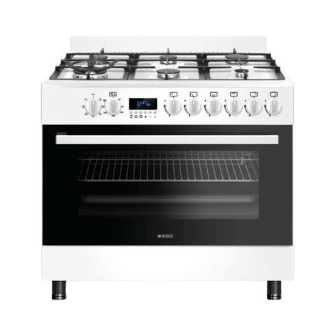 WO-E969R(WW) _8718591608506_Gasfornuis